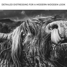 Load image into Gallery viewer, West Highland Cow Monochrome Canvas Wall Art