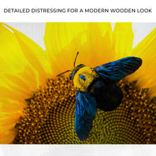 Load image into Gallery viewer, Bee Hoverfly Above A Sunflower Canvas Wall Art