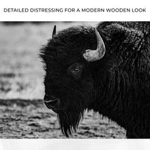 Load image into Gallery viewer, Black and White Bison Canvas Wall Art
