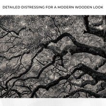 Load image into Gallery viewer, Monochrome Angel Oak Tree Canvas Wall Art