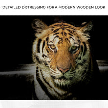Load image into Gallery viewer, Lurking Tiger In The Dark Canvas Wall Art