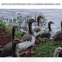 Load image into Gallery viewer, Flock Of Domestic Geese Canvas Wall Art