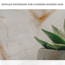 Load image into Gallery viewer, Stone Pot Succulent Plant Canvas Wall Art