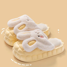 Load image into Gallery viewer, Unisex Cute Rabbit Fuzzy Slippers | Detachable Washable Plush House Shoes