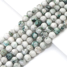 Load image into Gallery viewer, Genuine High Quality Tree Agate Round Smooth Beads, 6mm/8mm/10mm, Sku#U1627