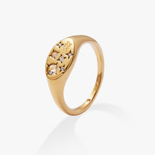 Load image into Gallery viewer, Aquarius Zodiac Ring