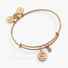 Load image into Gallery viewer, Aquarius Zodiac Charm Bangle