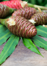 Load image into Gallery viewer, Awapuhi Shampoo Ginger (Zingiber zerumbet)