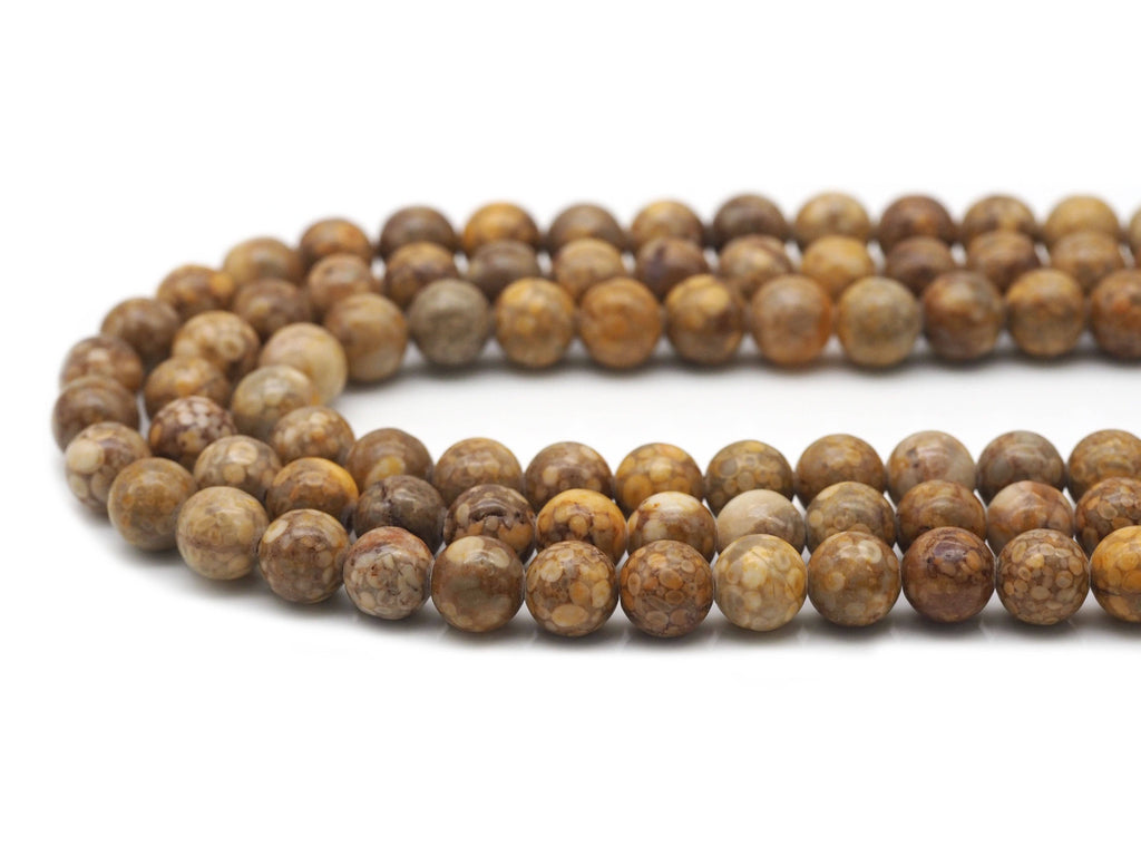 Genuine Brown Snail Fossil Agate Round Smooth Beads, Sku#U1350