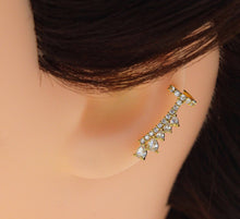 Load image into Gallery viewer, CZ Dangle Earrings, Sku#B202