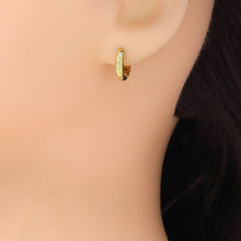 Load image into Gallery viewer, Clear CZ Round Hoop with Star Earrings, Sku#A401