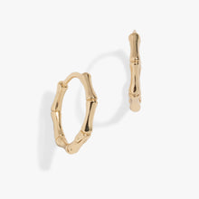 Load image into Gallery viewer, Bamboo Huggie