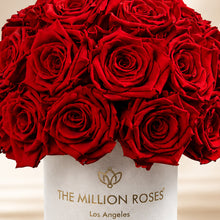 Load image into Gallery viewer, Essence Beige Suede Superdome Box | Red Roses