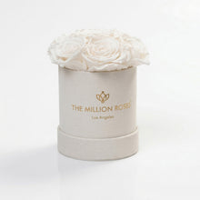 Load image into Gallery viewer, Essence Beige Suede Box | White Roses