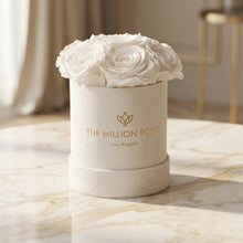 Load image into Gallery viewer, Essence Beige Suede Box | White Roses
