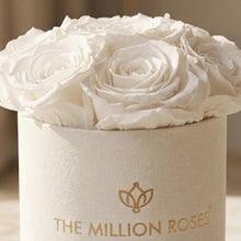Load image into Gallery viewer, Essence Beige Suede Box | White Roses