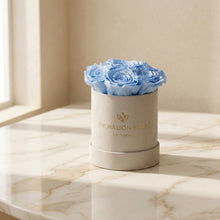 Load image into Gallery viewer, Essence Beige Suede Box | Light Blue Roses
