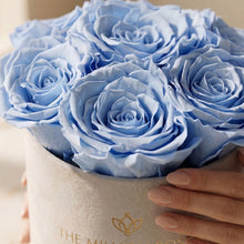 Load image into Gallery viewer, Essence Beige Suede Box | Light Blue Roses