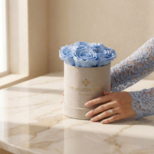 Load image into Gallery viewer, Essence Beige Suede Box | Light Blue Roses