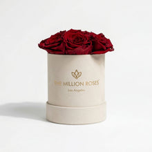 Load image into Gallery viewer, Essence Beige Suede Box | Red Roses
