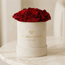 Load image into Gallery viewer, Essence Beige Suede Box | Red Roses
