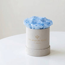 Load image into Gallery viewer, Essence Beige Suede Box | Light Blue Roses
