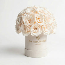 Load image into Gallery viewer, Essence Beige Suede Superdome Box | White Roses