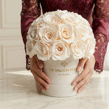 Load image into Gallery viewer, Essence Beige Suede Superdome Box | White Roses