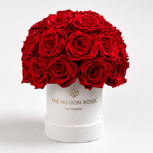 Load image into Gallery viewer, Essence Beige Suede Superdome Box | Red Roses