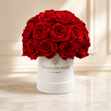 Load image into Gallery viewer, Essence Beige Suede Superdome Box | Red Roses