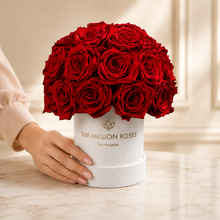 Load image into Gallery viewer, Essence Beige Suede Superdome Box | Red Roses