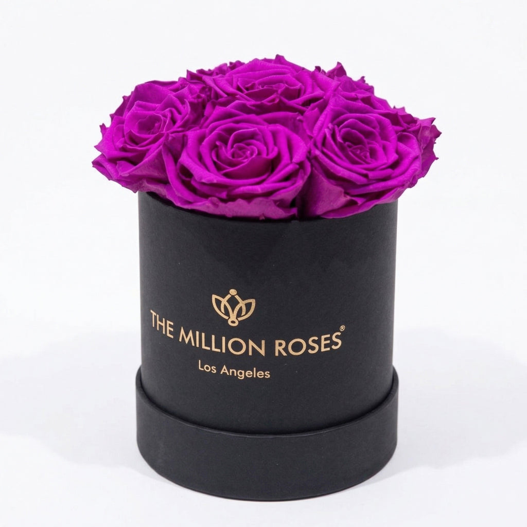 Essence Black Box | Bright Purple Roses