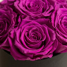 Load image into Gallery viewer, Essence Black Box | Bright Purple Roses