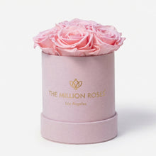 Load image into Gallery viewer, Essence Light Pink Suede Box | Light Pink Roses
