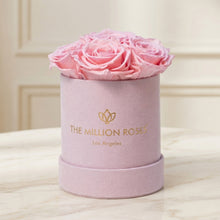 Load image into Gallery viewer, Essence Light Pink Suede Box | Light Pink Roses