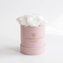Load image into Gallery viewer, Essence Light Pink Suede Box | White Roses