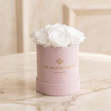 Load image into Gallery viewer, Essence Light Pink Suede Box | White Roses