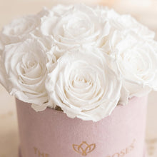 Load image into Gallery viewer, Essence Light Pink Suede Box | White Roses