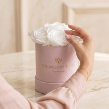 Load image into Gallery viewer, Essence Light Pink Suede Box | White Roses