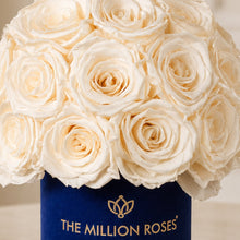 Load image into Gallery viewer, Essence Royal Blue Suede Superdome Box | White Roses