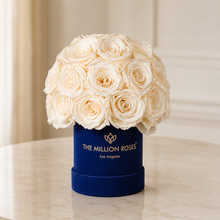 Load image into Gallery viewer, Essence Royal Blue Suede Superdome Box | White Roses