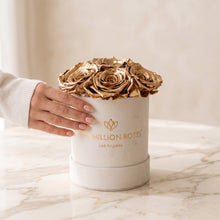 Load image into Gallery viewer, Essence Beige Suede Box | Gold Roses