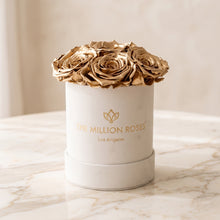 Load image into Gallery viewer, Essence Beige Suede Box | Gold Roses