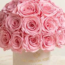 Load image into Gallery viewer, Essence Beige Suede Superdome Box | Light Pink Roses