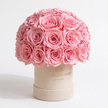 Load image into Gallery viewer, Essence Beige Suede Superdome Box | Light Pink Roses
