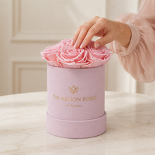 Load image into Gallery viewer, Essence Light Pink Suede Box | Light Pink Roses