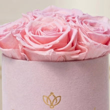 Load image into Gallery viewer, Essence Light Pink Suede Box | Light Pink Roses