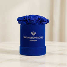 Load image into Gallery viewer, Essence Royal Blue Suede Box | Royal Blue Roses