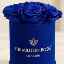 Load image into Gallery viewer, Essence Royal Blue Suede Box | Royal Blue Roses