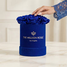 Load image into Gallery viewer, Essence Royal Blue Suede Box | Royal Blue Roses